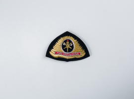 Crachá Bombeiro MS Oficial Feminino