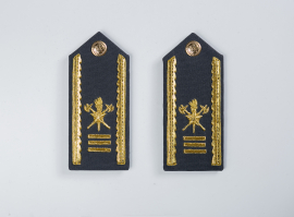 Platina Bombeiros Cadete 3º Ano